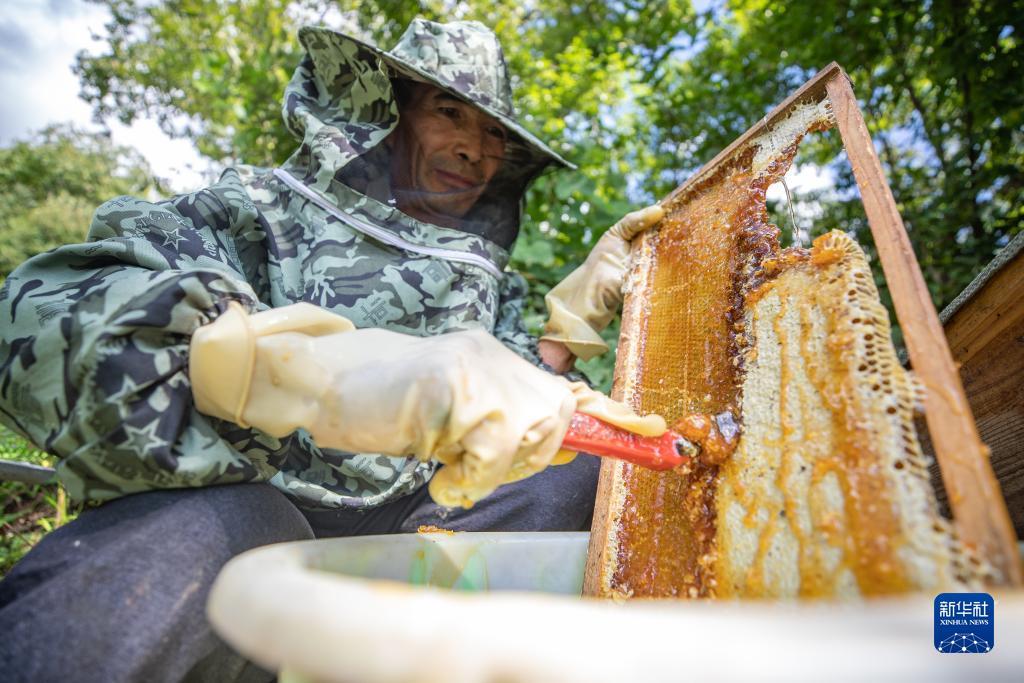 真人扎金花1毛